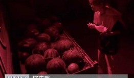 娱乐吃瓜密室逃脱小说推荐,娱乐吃瓜背后的惊悚谜案